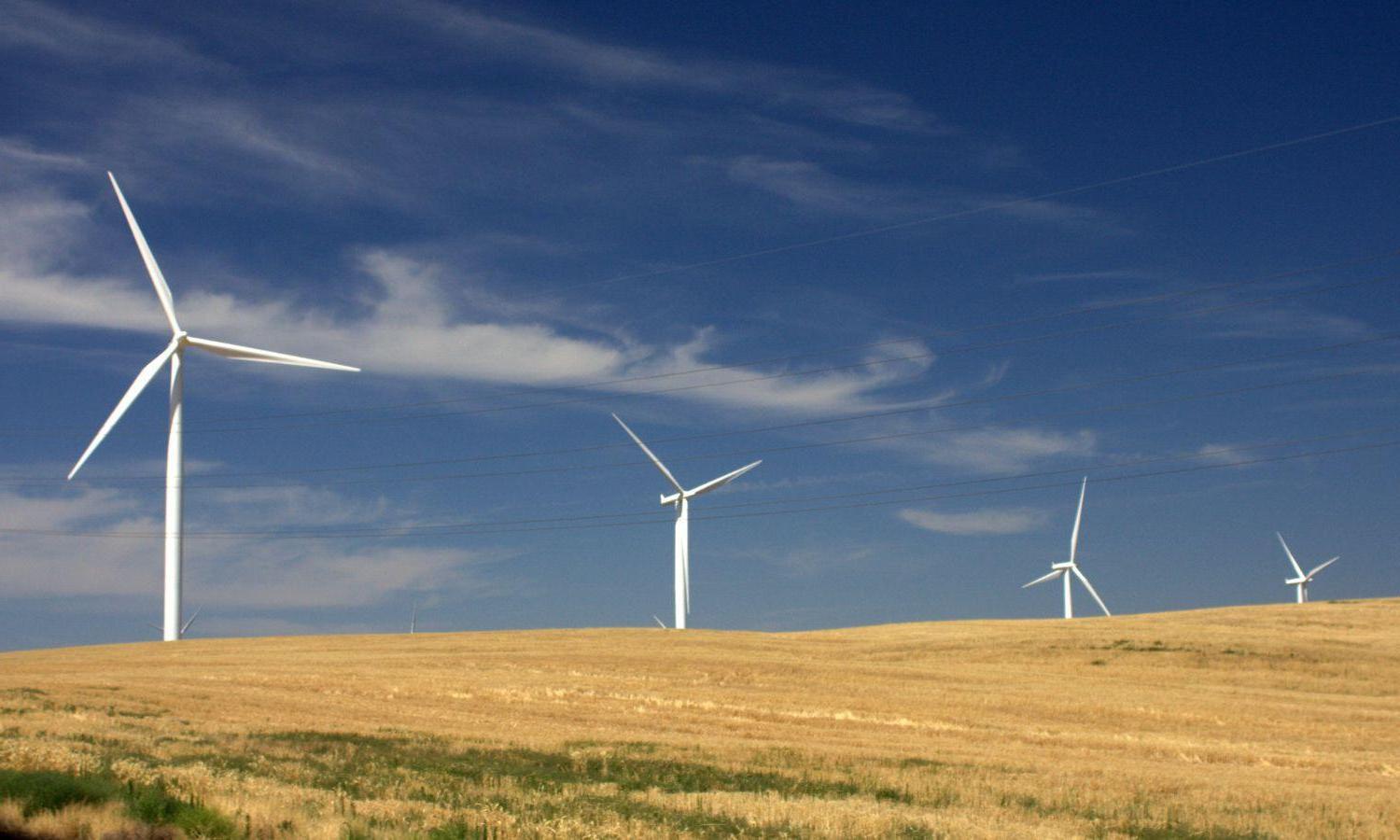 A landscape with four wind turbines.